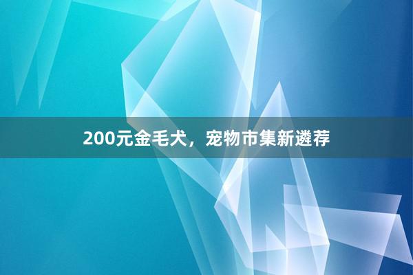 200元金毛犬,宠物市集新遴荐