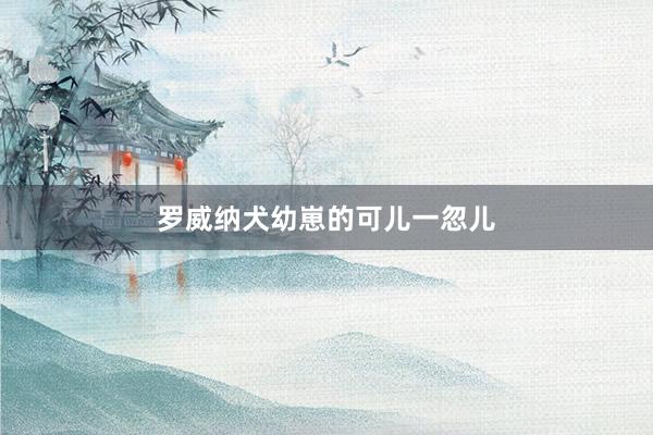 罗威纳犬幼崽的可儿一忽儿